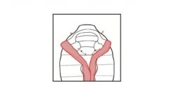 Robens Couloir 750 -Cheap Camp Tent N Tarp Store 250164 8 1280x1280